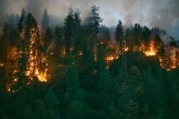 The Oregon Wildfire Season Of 2020