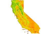 NAIP 2018 NDVI 60cm California