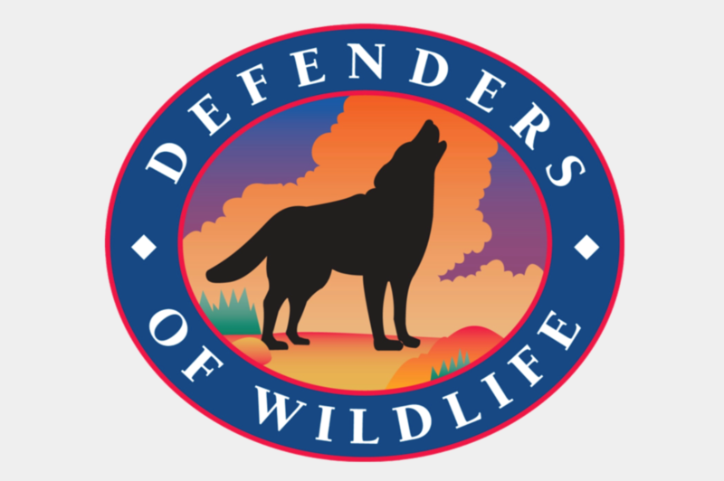 Rocky Mountains  Defenders of Wildlife