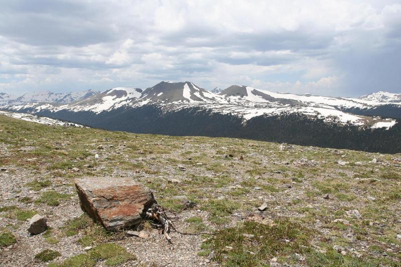 alpine-tundra