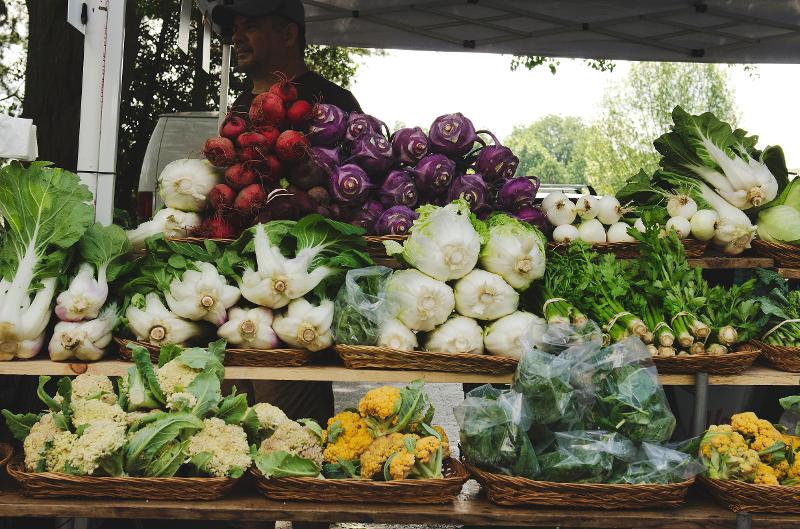 Food Resources in DeKalb County, GA