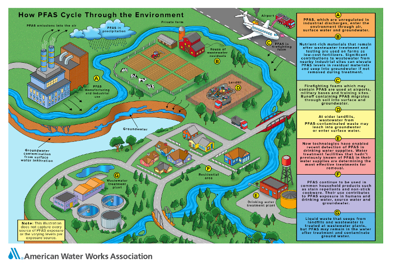 Perfluorinated Compounds In Pierce County, Wa Groundwater