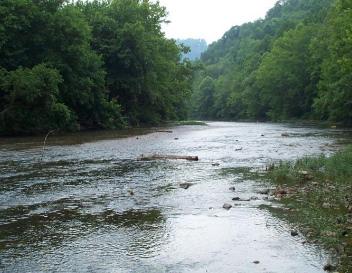 Restoration of the Powell River Watershed