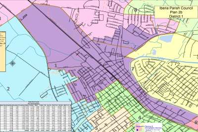 Iberia Parish Council Plan 2b District 1 11x17