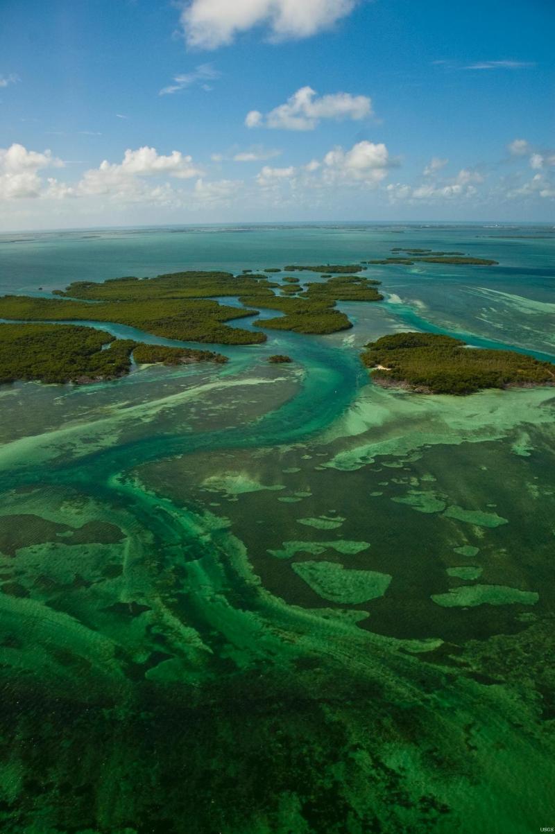 (Copy) Florida’s Coral Reef Water Quality Data