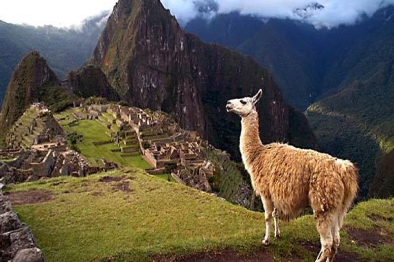 My Trip to Peru - Camille Prickett