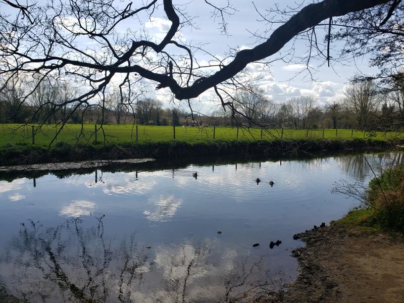 Clare Castle Country Park