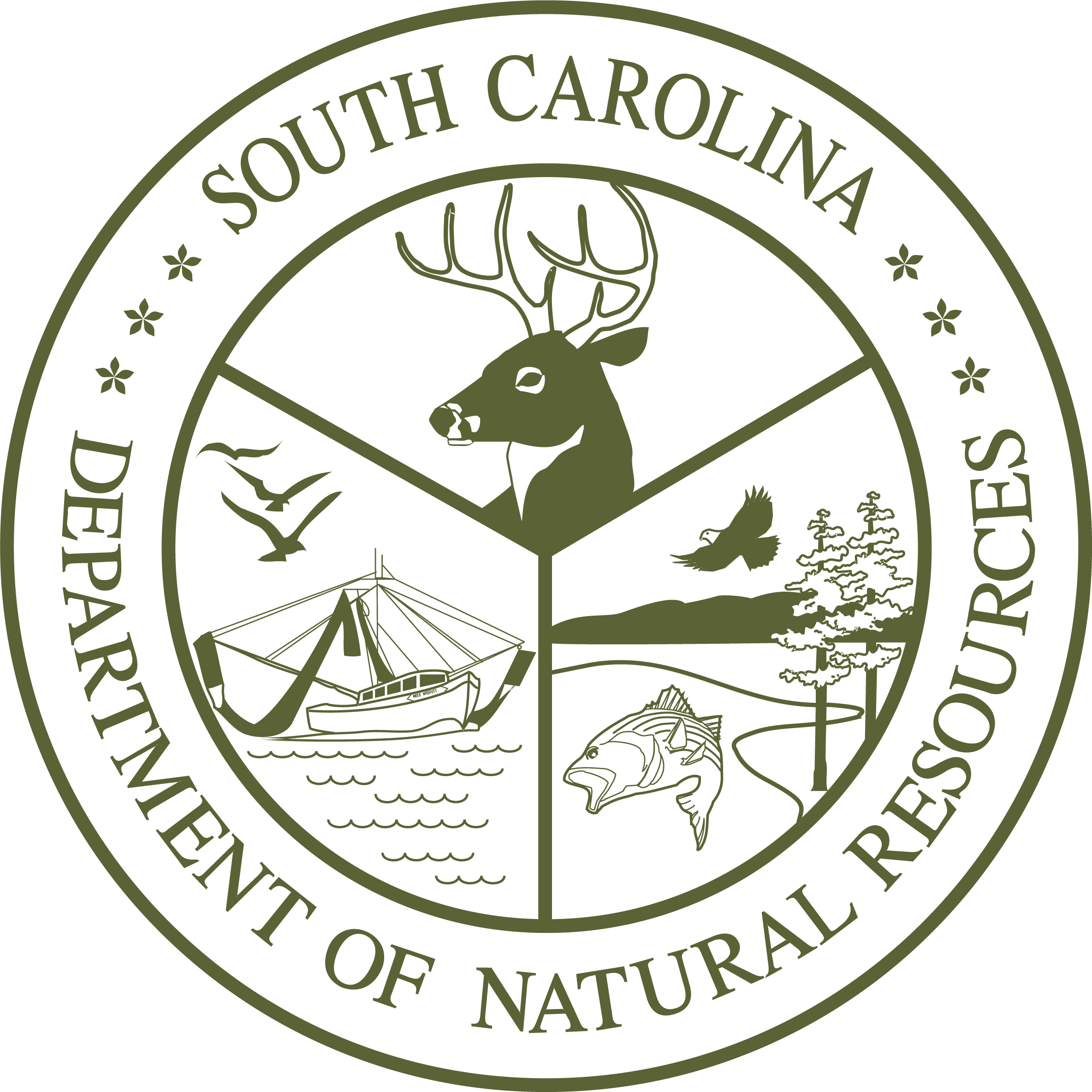 South Carolina Department of Natural Resources - SALTWATER ANGLERS