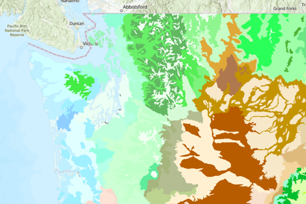 Ecoregions of Central and South America, Levels I, II, III