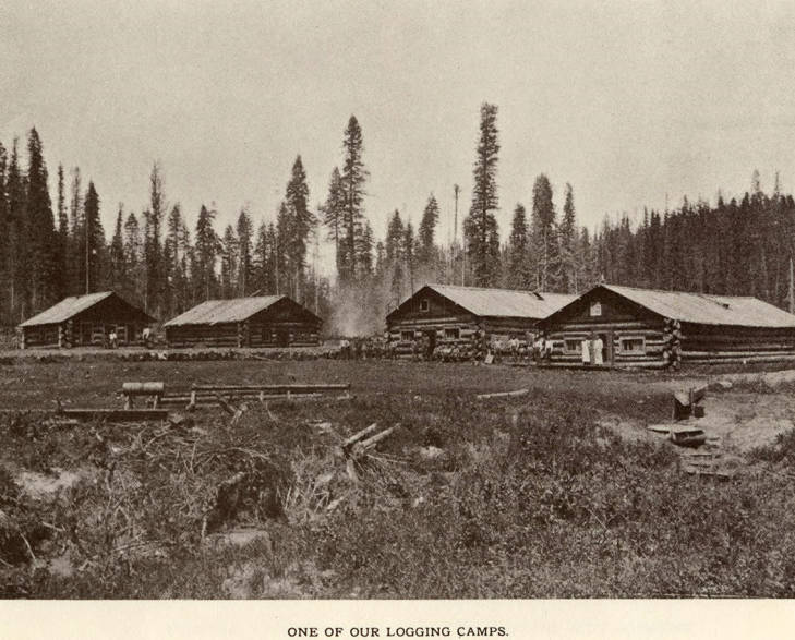 Logging Camps