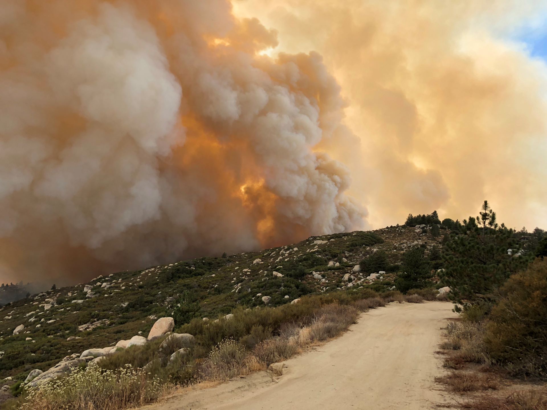 CAL FIRE Success Stories