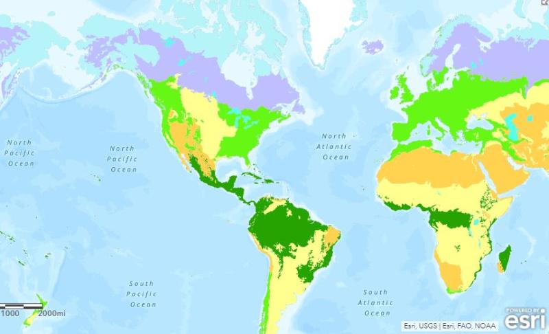 arcgis new layer