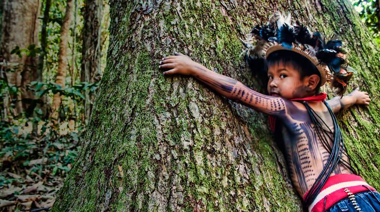 Rain Forest Warriors: How Indigenous Tribes Protect the