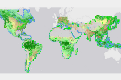 Land Cover 30m (NGA)