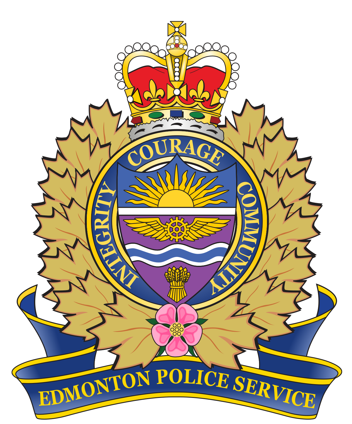 communitysafetydataportal.edmontonpolice.ca