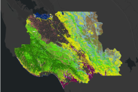 Santa Cruz and Santa Clara County Enhanced Lifeform Map Layer