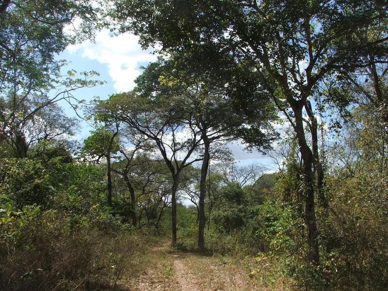 mapa del bioma del bosque seco tropical