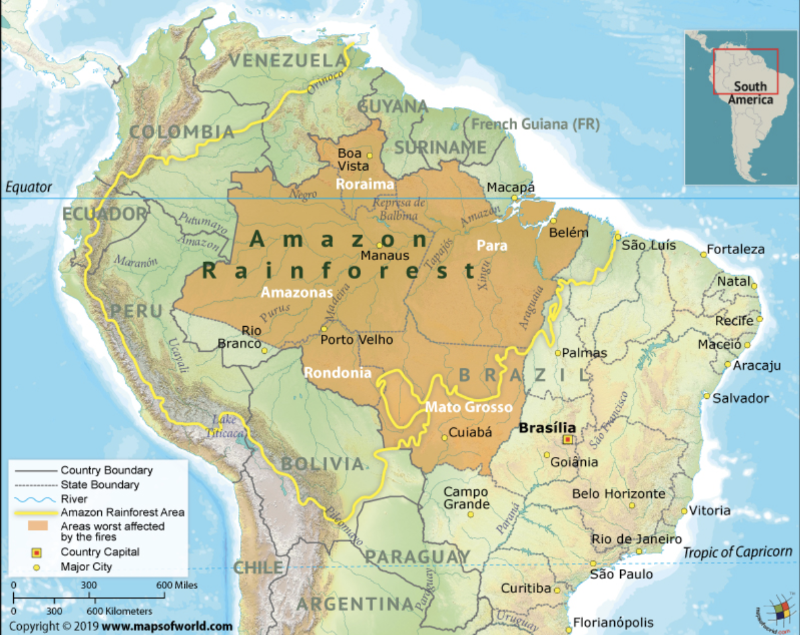 Deforestation In The Amazon And The Risk Of Climate Change