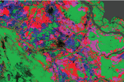 High-Resolution Global Maps of 21st-Century Forest Cover Change