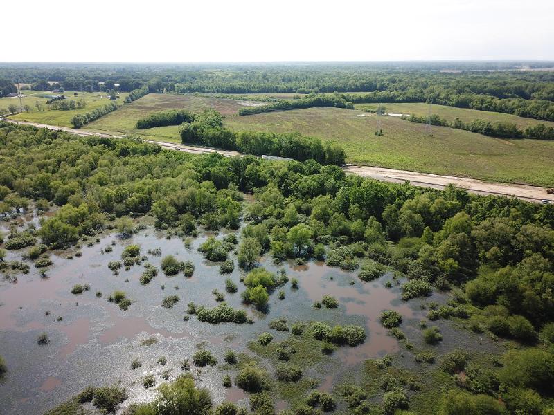 Need to Mitigate for Impacts to Wetlands? EnSafe Can Help!