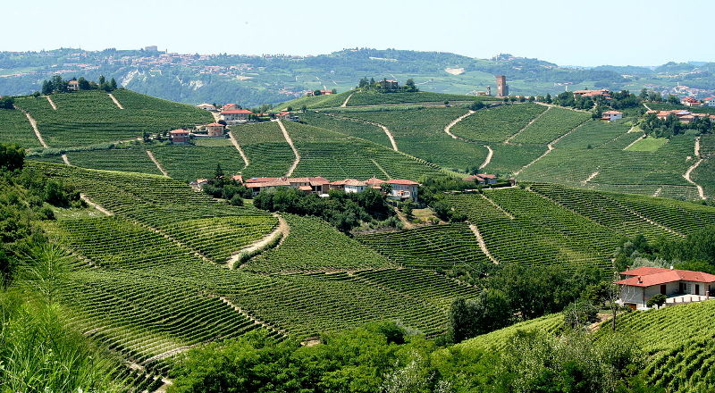 The Vineyard Landscape of Piedmont