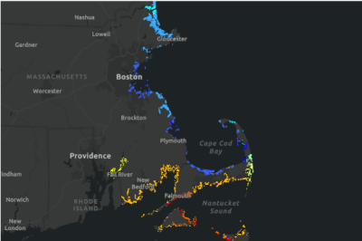 Massachusetts Coastal Wetlands Synthesis Datasets