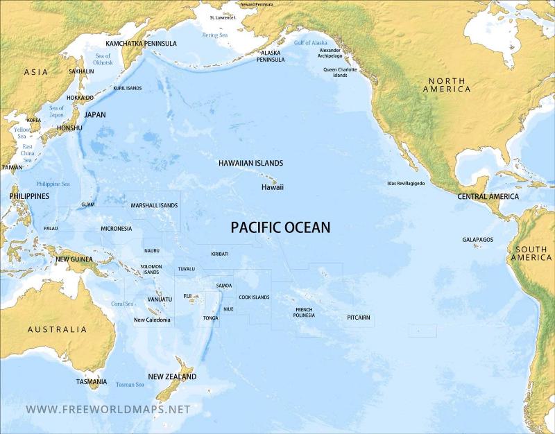 Plastic pollution in pacific ocean