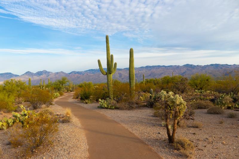 Population growth in Tucson, AZ