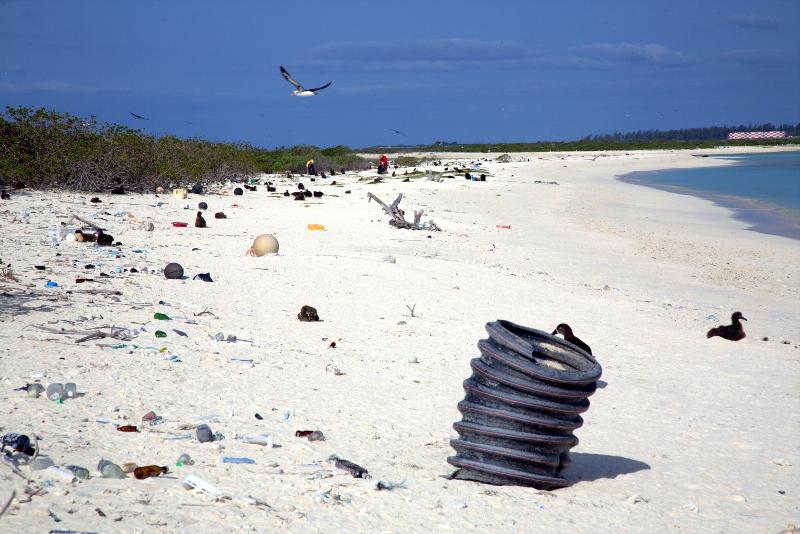 Videos  OR&R's Marine Debris Program