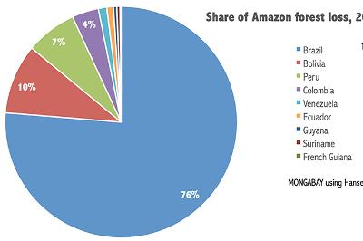 Amazon Deforestation