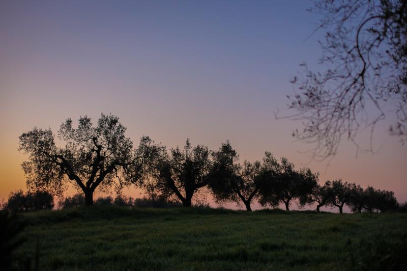 Cibi da Non Mettere in Frigorifero - Azienda Agricola Boccea