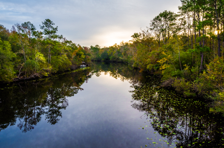 Preserving the Pristine