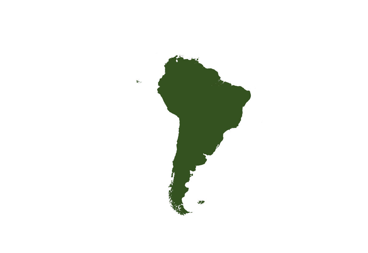 South American Features