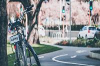 bike shop onehunga