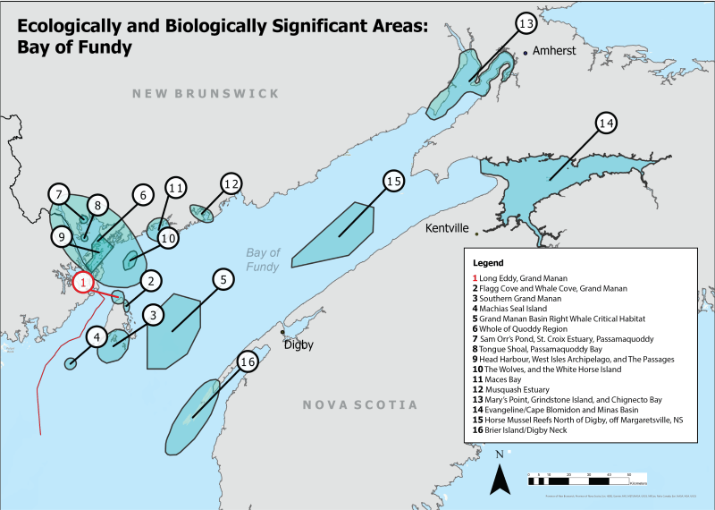 File:Grand Manan Island, Bay of Fundy.jpg - Wikipedia