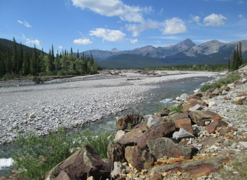 Watershed Stewardship  Elbow River State of the Watershed