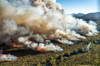 The 2019-2020 Australian “Black Summer” Bushfires