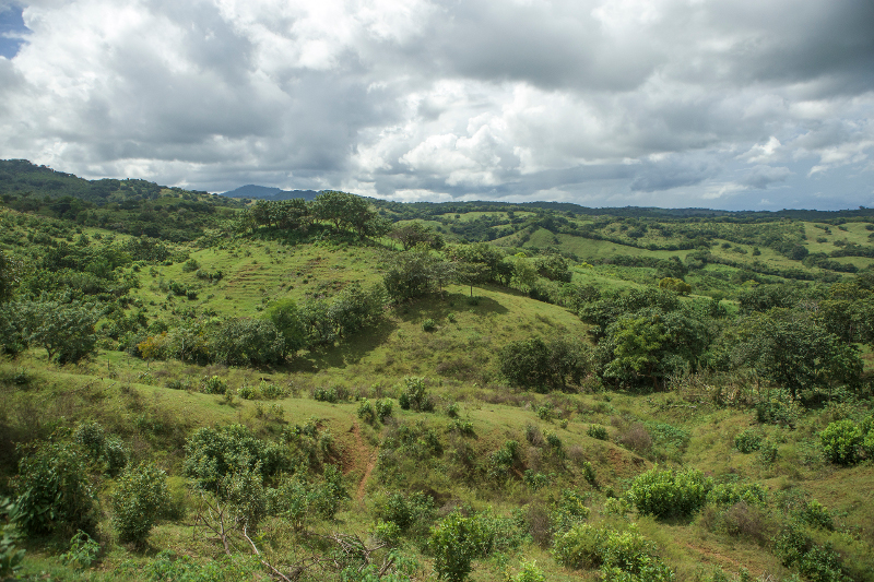 restoring-the-tropical-dry-forest