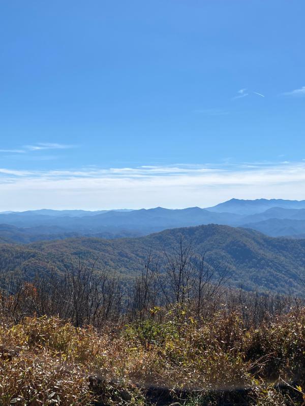 Cherokee National Forest