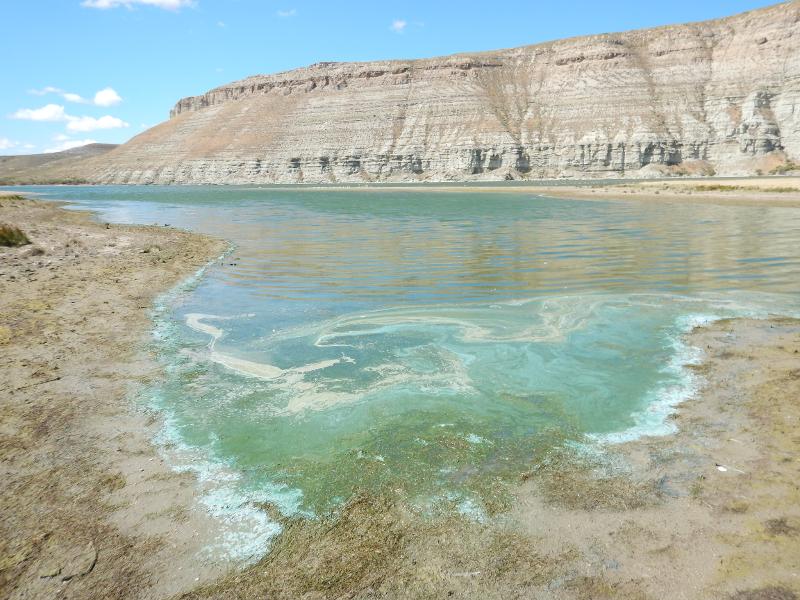 Addressing Nutrient Pollution in Wyoming Surface Waters