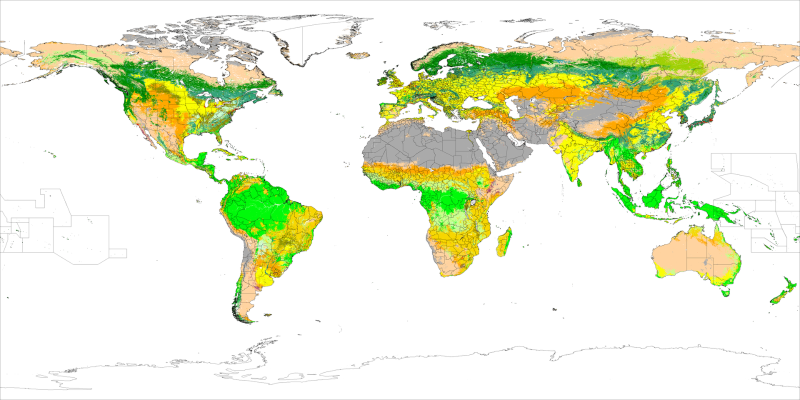 land-cover