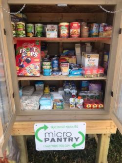 Micro Food Pantry Map Will County Northern Illinois