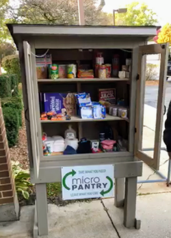 Micro Food Pantry Map Will County Northern Illinois