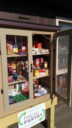 Micro Food Pantry Map Will County Northern Illinois