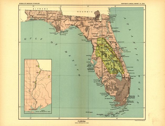 Indian Removal Act: The Seminoles