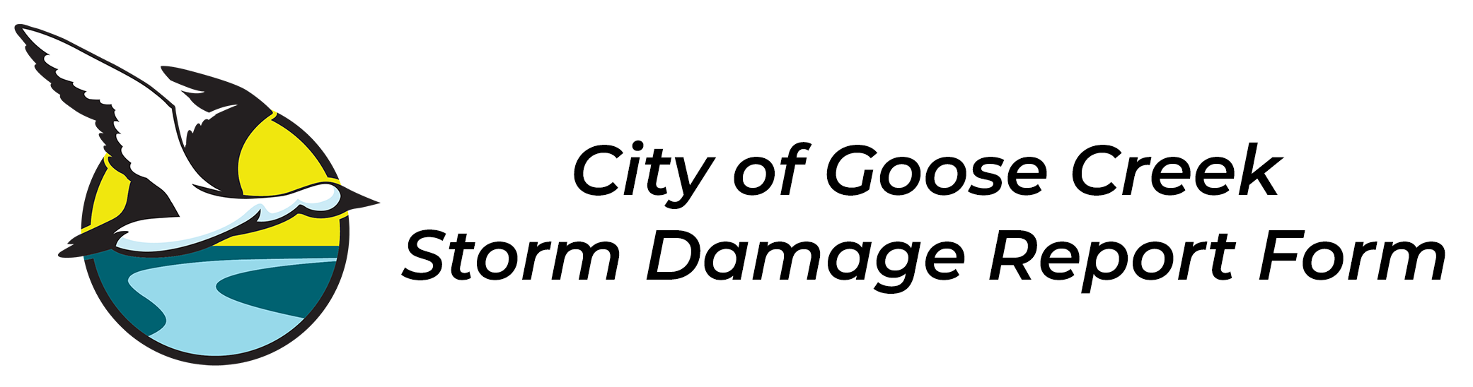 Storm Damage Report Form