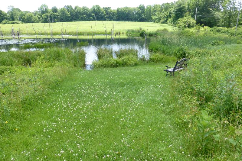 Pierpont Meadow Wildlife Sanctuary