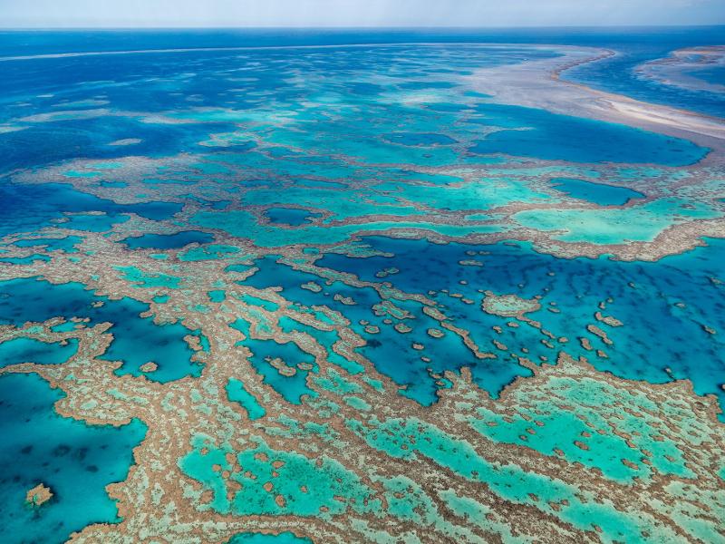 Coral Bleaching on the Great Barrier Reef