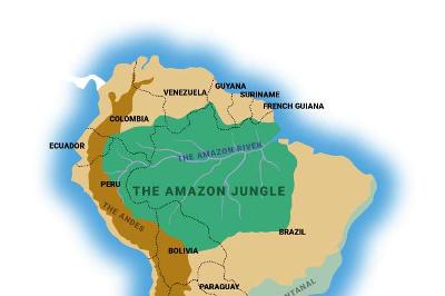 Deforestation Of The Amazon Rainforest