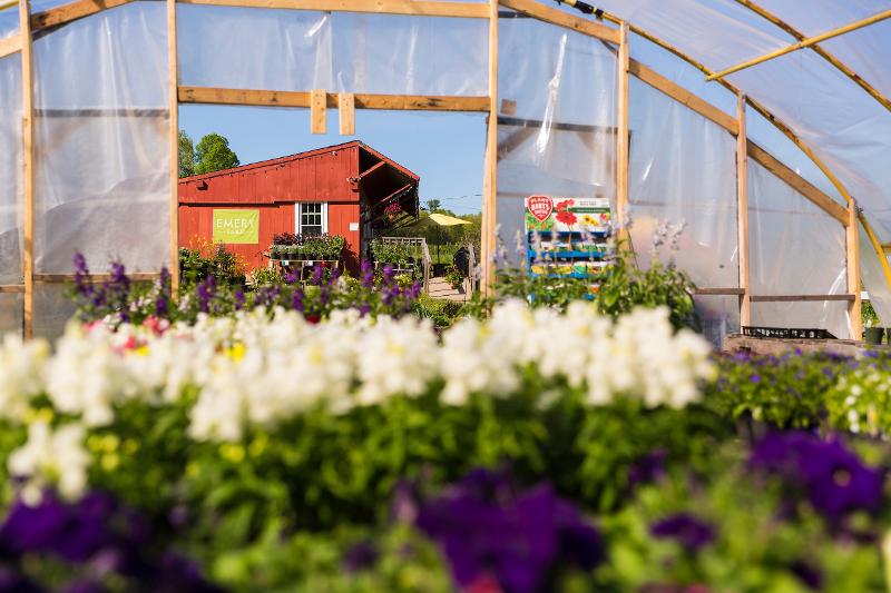 agro tourism in nh